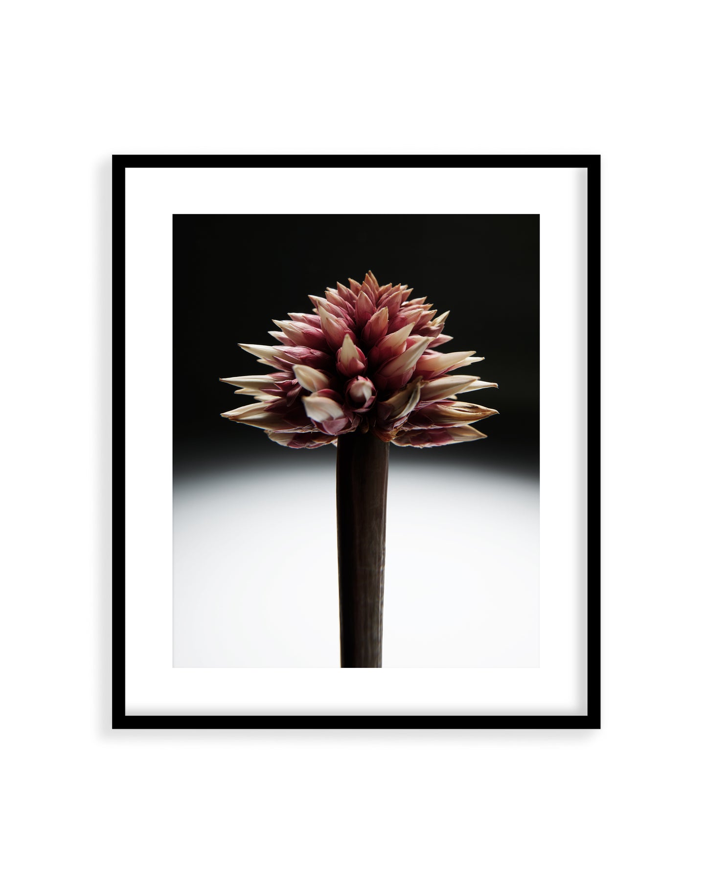 Flower 02