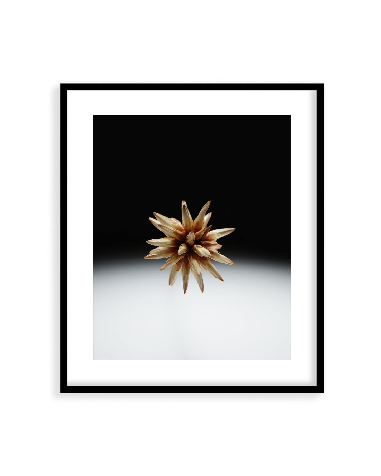 Flower 01