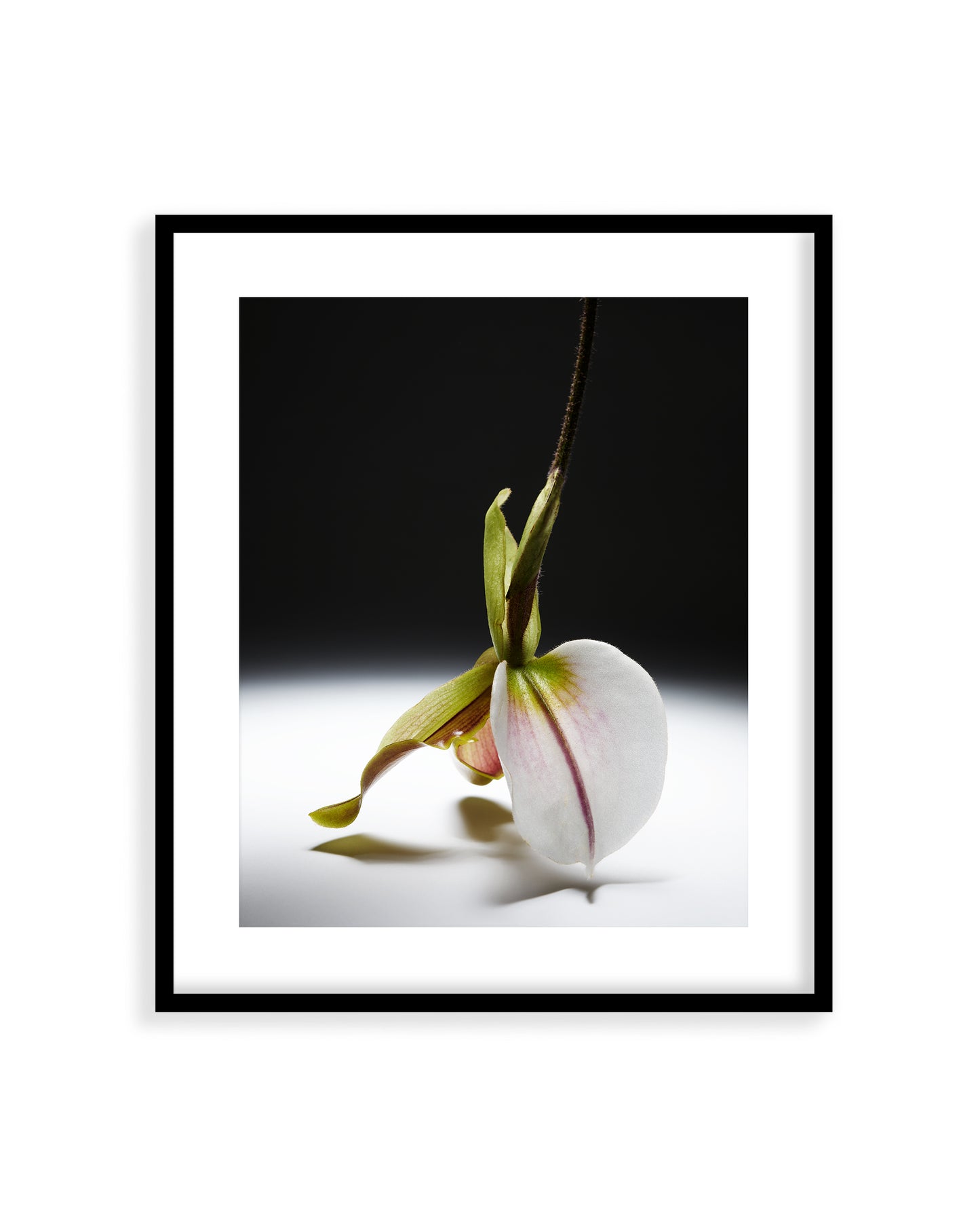 Flower 03
