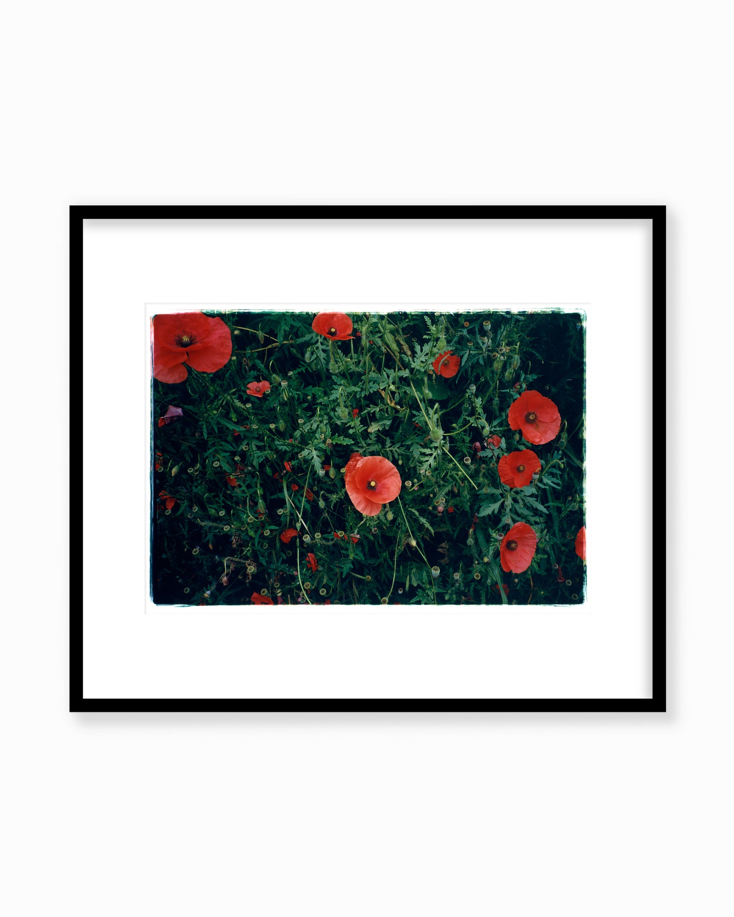 Pollies, Milano 2023