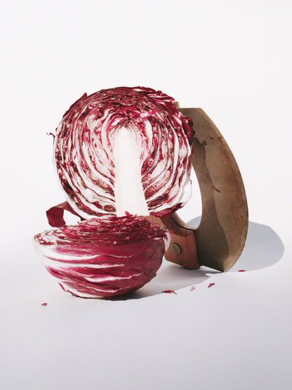 Radicchio Print by Damien Ropero