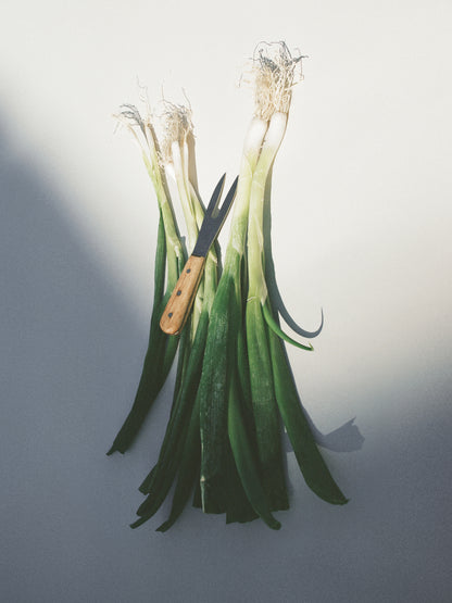 Green Onions Print by Damien Ropero