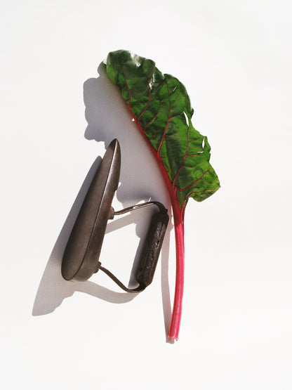 Swiss Chard Print by Damien Ropero