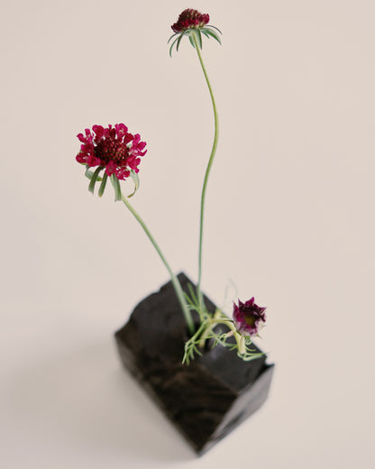 Hand-Carved Wood Vase by Ma Zhiping