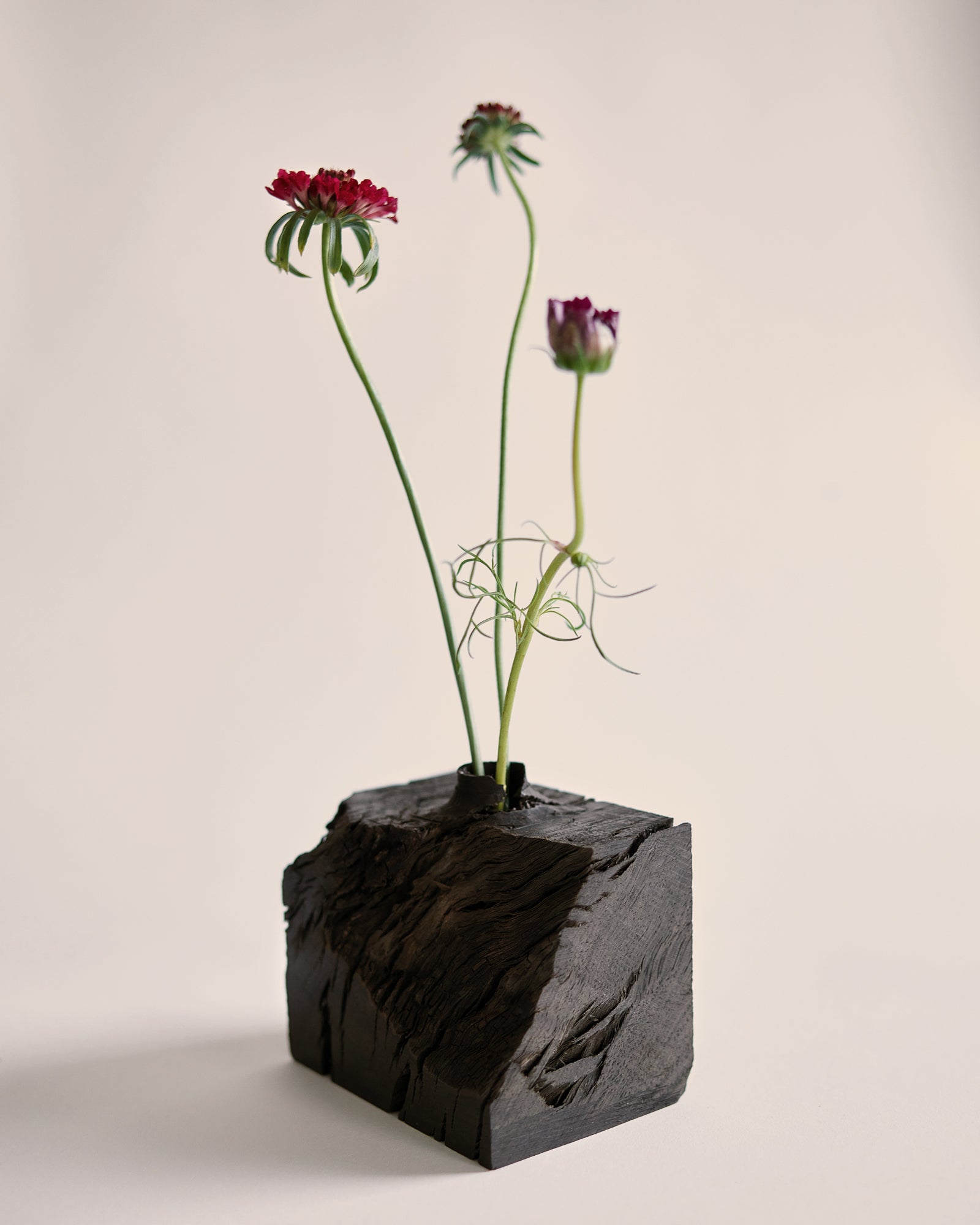 Hand-Carved Wood Vase by Ma Zhiping