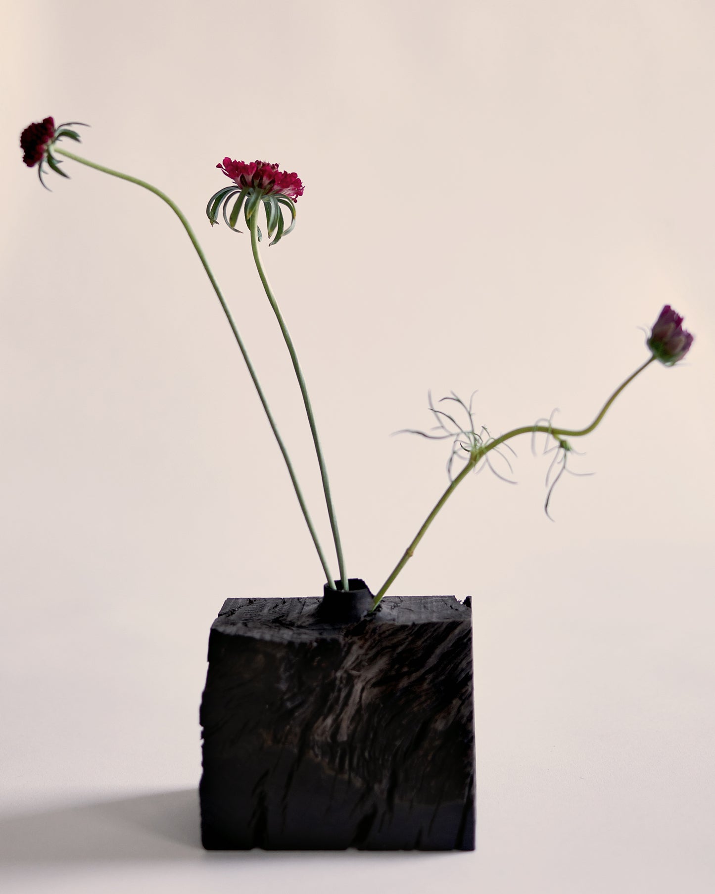 Hand-Carved Wood Vase by Ma Zhiping